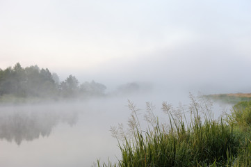 Fototapeta na wymiar Rano rzeka mgły