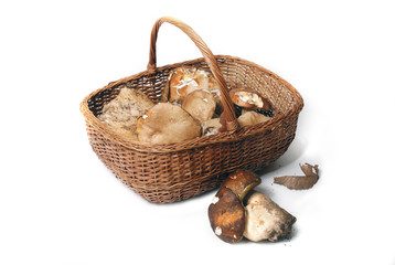 Cesta di porcini