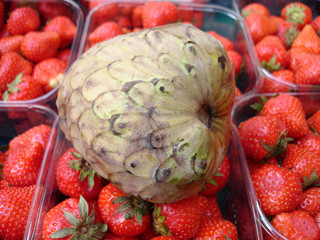 Chérimoya