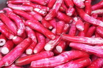 Radis szechuan red / 韓國泡菜