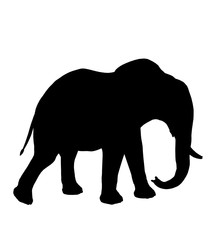 Elephant Illustration Silhouette