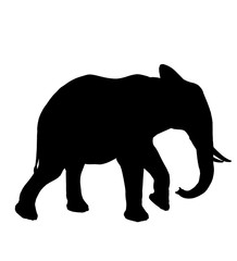 Elephant Illustration Silhouette