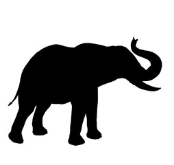 Elephant Illustration Silhouette