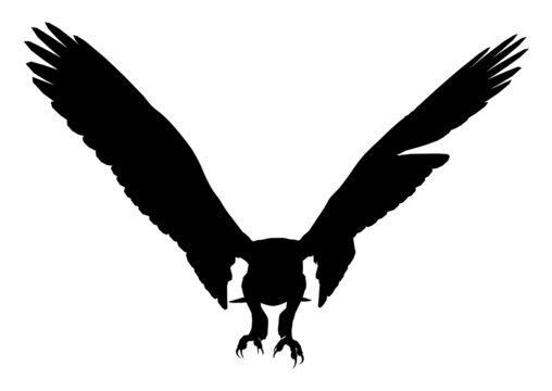 Eagle Illustration Silhouette