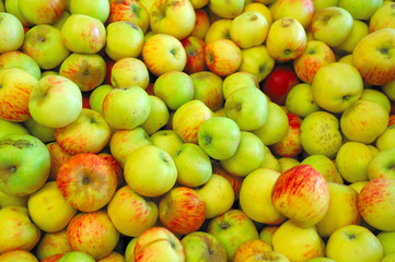 Green, Yellow  And Red Apple
