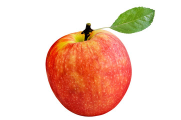 Fresh apple