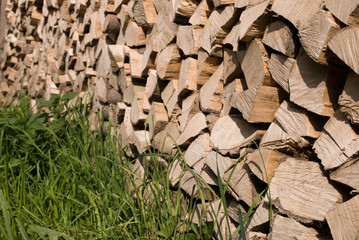 Firewood