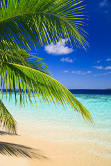 Panele Szklane  Tropikalny raj na Malediwach