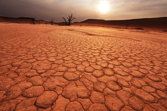 Namib on sunset