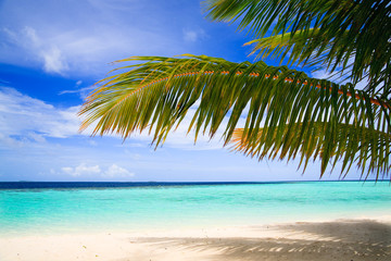 Fototapeta na wymiar Tropikalna Paradise na Malediwach
