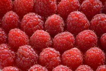 raspberry