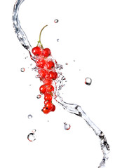 redcurrant and water drops isolated on white