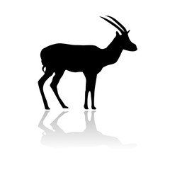 antelope gazelle vector silhouette © kniveset