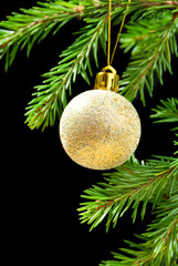 Christmas bauble on background tree