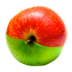creative apple
