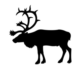silhouette of the reindeer on white background