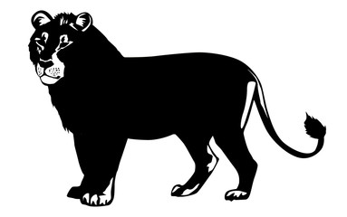 illustration lion on white background