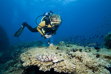 Naklejka na ściany i meble Female diver and coral