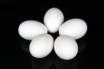 Fünf weiße Eier