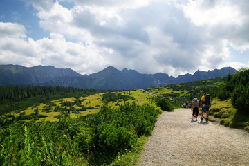 Mountain hiking trail