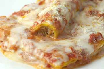 Cannelloni di carne