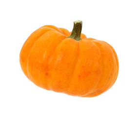 Small pie pumpkin