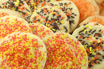 Autumn Sugar Cookie Background