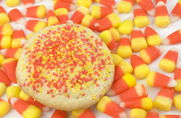 Fototapeta na wymiar Sugar Cookie on Candy Corn Background