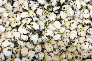 Garlic