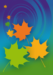 Ahornblätter, Herbst, Vektorgrafik