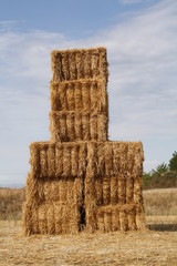 Pacas de paja en un campo de trigo.