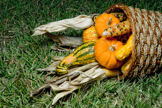 Cornucopia