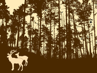 silhouette of the deers in thick wood