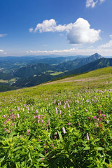 Mountain-ridge and blue sky with white clouds
