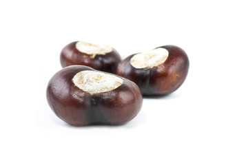 conkers