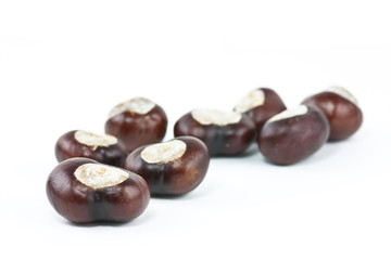 conkers