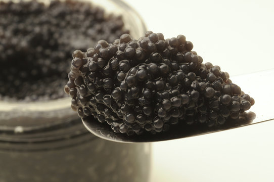 Caviale