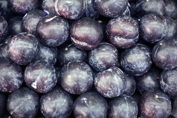 close up a group of purple plums