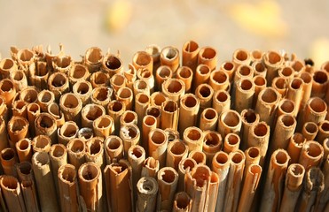Close up view of a bundle of reed thatch - obrazy, fototapety, plakaty