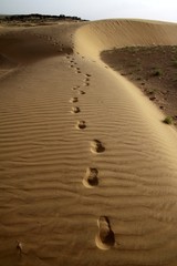 tracce profonde