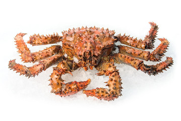 King crab
