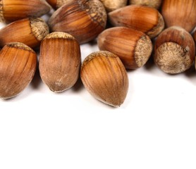 Hazelnuts background