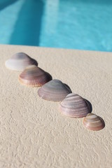 jeu de mer