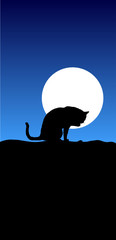 cat on moon illustration