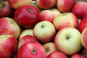 Bioäpfel