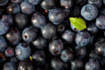 fresh blueberries background