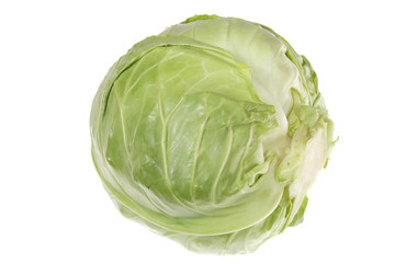 Green Cabbage