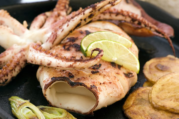 Tintenfisch gegrillt © HLPhoto