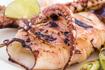 Kalmar gegrillt © HLPhoto