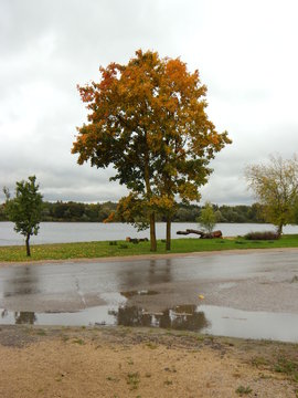 Autumn